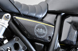ZRX1100-1200-DAEG サイドカバー【L/Rセット】