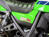ZRX1100-1200-DAEG サイドプレート【L/Rセット】