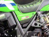 ZRX1100-1200-DAEG サイドプレート【L/Rセット】
