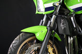 ZRX1100-1200-DAEG フロントフェンダーSPL
