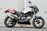 (2009-2012) VTR250　ビキニカウル スクリーン付き