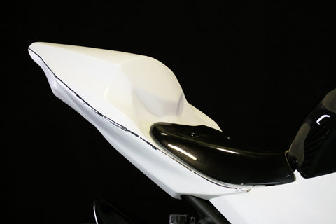 Kawasaki Ninja 250 (2018-) – A-TECH Online Shop