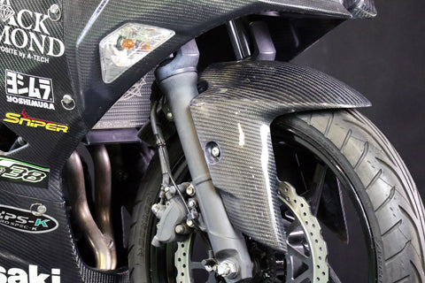 Ninja250 フロントフェンダーSPL2 – A-TECH Online Shop