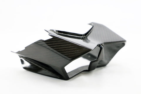 Ninja H2 SX/SE/+ テールライトカバー – A-TECH Online Shop