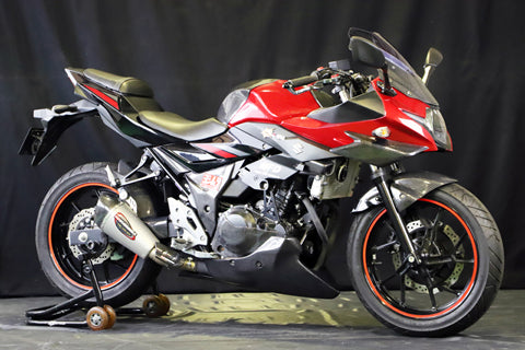 GSX250R ウイングレット【L/Rセット】 – A-TECH Online Shop